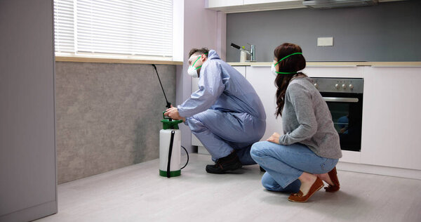 Женщина смотрит на дезинсекторов рабочих распыления инсектицида химические для борьбы с вредителями термитов в доме кухни
