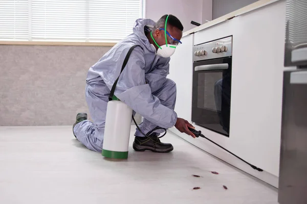 Masculin Control Dăunătorilor Lucrător Pulverizare Pesticide Bucătărie — Fotografie, imagine de stoc