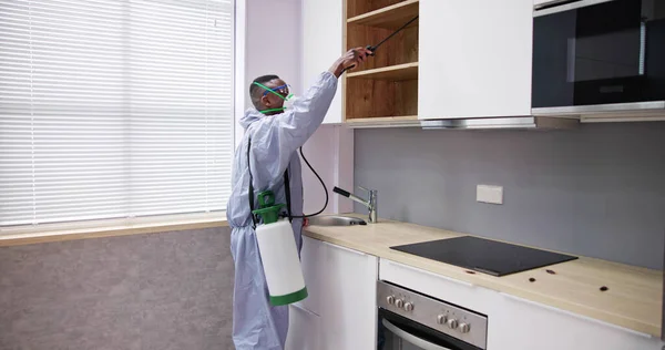 Trabalhador Controle Pragas Masculino Com Pulverização Pesticidas Cozinha — Fotografia de Stock