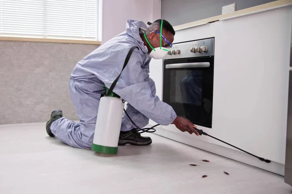 厨房喷洒农药防治害虫的男工 — 图库照片