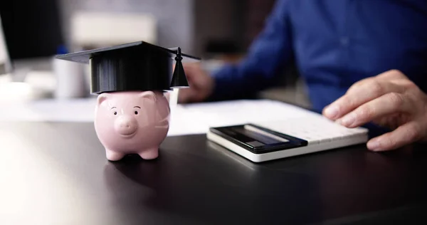 Student Loan Budget Calculator Piggybank Money — Stock Photo, Image
