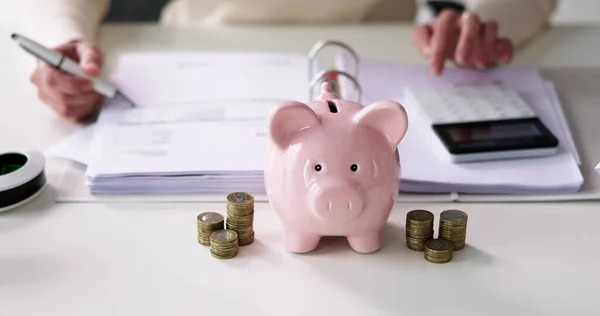 Piggybank的财务顾问储蓄计算 — 图库照片