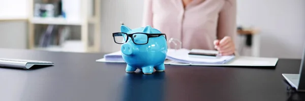 Ekonomisk Penningrådgivning Sparar 401K Inlåning Från Piggybank — Stockfoto
