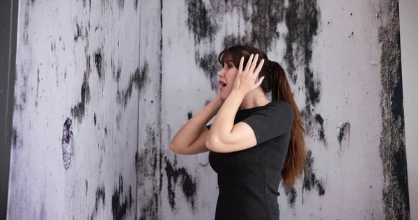 Schimmelschäden Hauswand Frau Blickt Auf Nasse Feuchtigkeit — Stockfoto