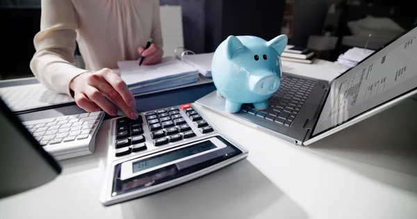 Doradca Finansowy Piggybank Obliczanie Oszczędności Pieniędzy — Zdjęcie stockowe