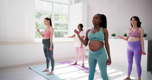 Diverse Pregnant Group Gym Fitness Exercise Prenatal Training — Stock Photo, Image