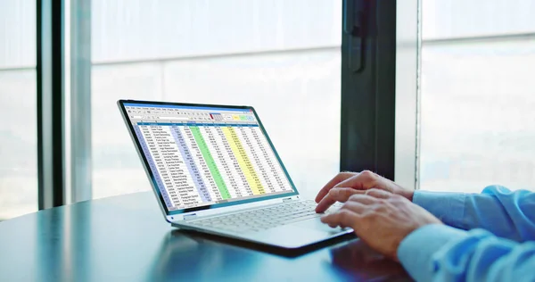 Spreadsheet Data Analyst Using Computer Software Laptop — 스톡 사진