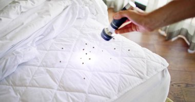 Bed Bug Infestation And Treatment Service. Bugs Extermination clipart