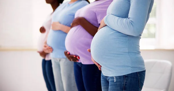 Группа Беременных Женщин Ряду Молодые Матери — стоковое фото