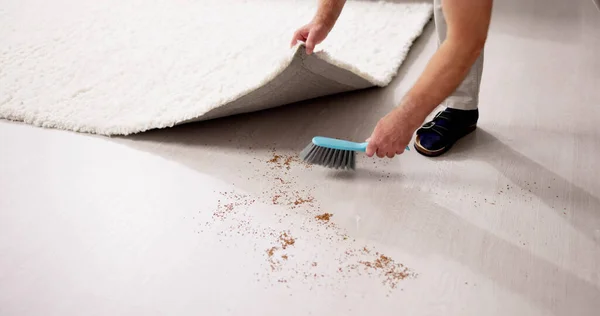 Schmutz Unter Den Teppich Kehren Staub Beim Putzen Verstecken — Stockfoto