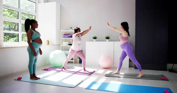 Doğum Öncesi Yoga Salonu Hamile Kadın Grup Kondisyonu — Stok fotoğraf