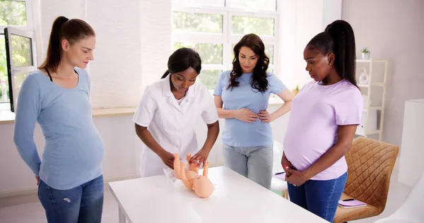 Bebek Bakımı Öğrenme Dersi Genç Hamile Kadınlar — Stok fotoğraf
