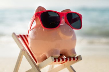 Pembe Domuz Kumbarası Plajda Tatilde