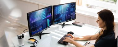 Finansal İş Analitik Veri Paneli. Analist Kadın