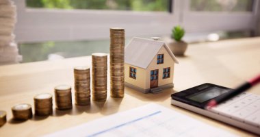 Afrikalı Amerikan Evi Büyüme ve Emlak