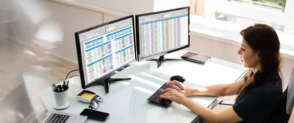 Business Data Audit Spreadsheet Analyst Computer — Stock Photo, Image