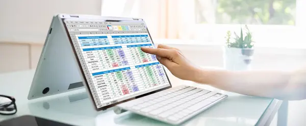 Business Data Audit Spreadsheet Analyst Computer — Stock Photo, Image