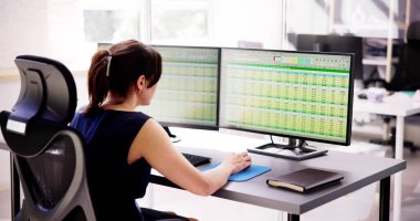 Finansal İş Analitik Veri Paneli. Analist Kadın