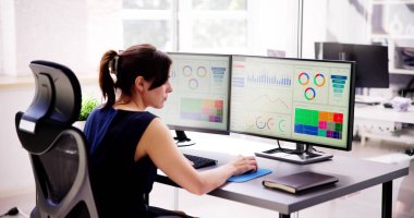 Finansal İş Analitik Veri Paneli. Analist Kadın