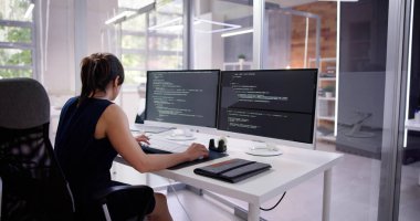 Yazılım Programcısı veya Yazılımcı Kadın Ofis Bilgisayarını Kullanıyor