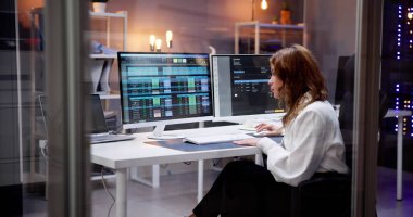 Bilgisayar Muhasebe Yazılımı. Ofisteki Veri Hesap Tablosu