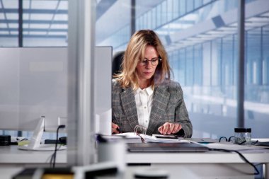 Bilgisayarlı Vergi Denetçisi ve İş Muhasebecisi: Muhasebeci