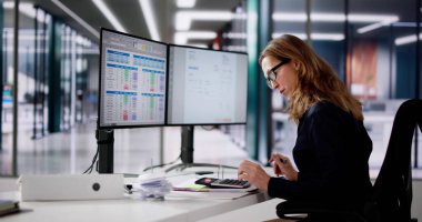 Ofisteki Bilgisayarda E Fatura Yazılımı Kullanan Muhasebeci