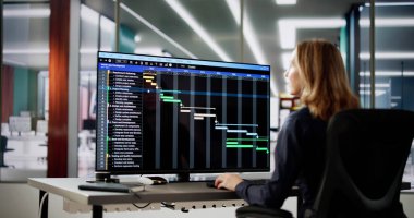 Bilgisayarda Veri Analisti Kadın Hesap Tablosu Kullanıyor