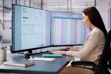 Ofisteki Bilgisayarda E Fatura Yazılımı Kullanan Muhasebeci