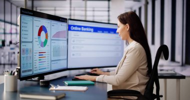 Mali Planlama ve İzleme. Çevrimiçi Bütçe Uygulaması Bilgisayarda