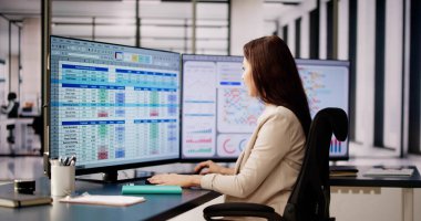 Analist Bilgisayarda İş Veri Denetleme Hesap Tablosu