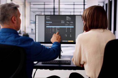 Elektronik Fatura Kullanan Muhasebeci veya Buluttaki Bill