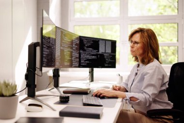 Yazılım Programcısı veya Yazılımcı Kadın Ofis Bilgisayarını Kullanıyor