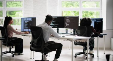 Çevik İkili Programlama ve Aşırı Kodlama. İş Yazılımı