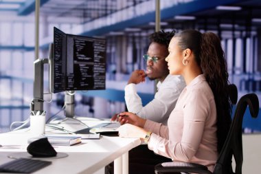 Siber Güvenlik Geliştirme Takımı. Afrika Programcı Grubu