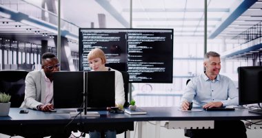 Çevik İkili Programlama ve Aşırı Kodlama. İş Yazılımı