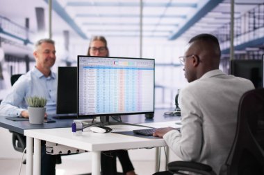 Bilgisayarda Hesap Tablosu Kullanan Veri Analisti Afrikalı Kadın