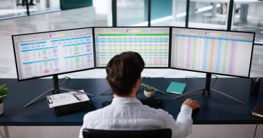 Analist Bilgisayarda İş Veri Denetleme Hesap Tablosu