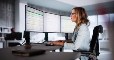 Ofisteki Bilgisayarda E Fatura Yazılımı Kullanan Muhasebeci