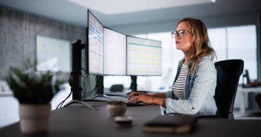 Ofisteki Bilgisayarda E Fatura Yazılımı Kullanan Muhasebeci