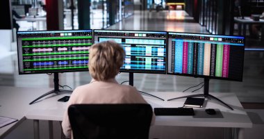 Çoklu Ekran Kullanan Bilgisayar Hesap Tablosu Veri Analisti Kadın