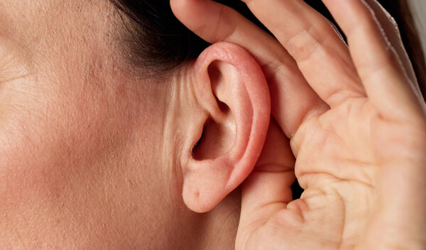 Attentive audiologist aids customer with hearing problems in market chat.