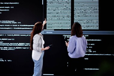 İş Ofisinde Dizüstü bilgisayardaki Kadın Programcı Analiz Kodu Ayarlama.