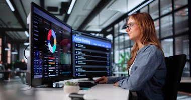 Çevrimiçi banka hesap bütçesini yöneten genç bir kadın. Profesyonel Muhasebe İzleme Çoklu Hesapları