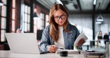 Elektronik Fatura Bildirimi üzerinde Hesap Çizelgesi Hesaplaması Çevrimiçi Çalışan Muhasebeci