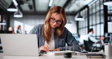 Elektronik Faturalar Hesaplaması için Dijital Hesap Tablosu Kullanan Çevrimiçi Fatura Asistanı.