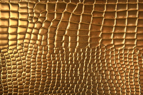 Close Golden Crodile Leather — Stock Photo, Image