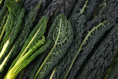 close up of the vegetable Kale leves clipart