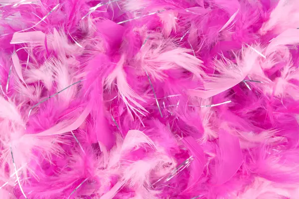 Close Pink Feather Party Background Stock Image