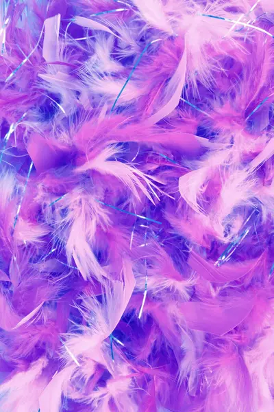 Close Costume Feathers Details Background Stock Picture
